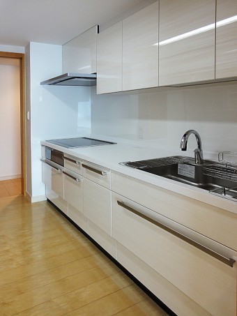 優れたデザイン性と最新機能―お掃除ラクラクなキッチン 優れたデザイン性と最新機能―お掃除ラクラクなキッチン